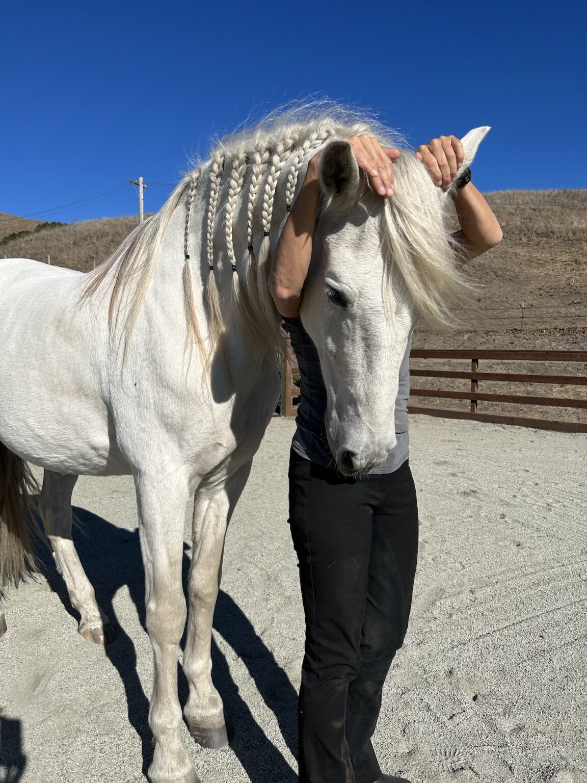 Equine Craniosacral Osteopathy Maui, SF and Switzerland